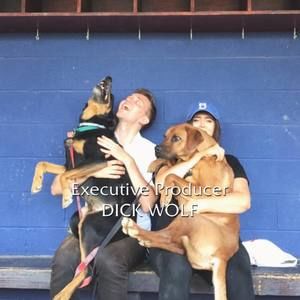 Meet your Posher, Amelia